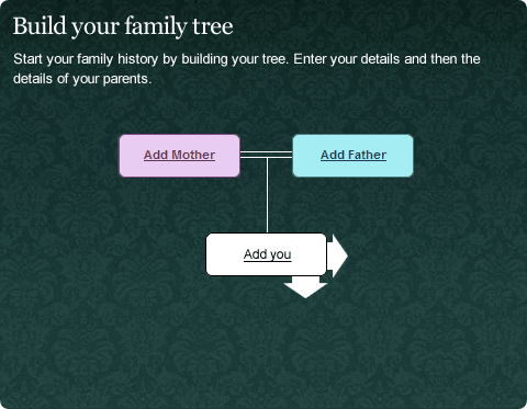 Build your family tree