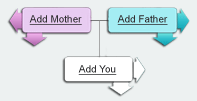 Create your Family Tree